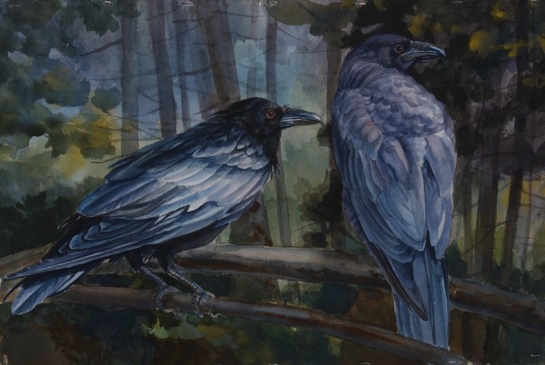  : Watercolor : Dana Van Horn