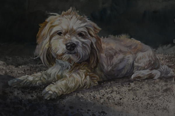 : Watercolor : Dana Van Horn