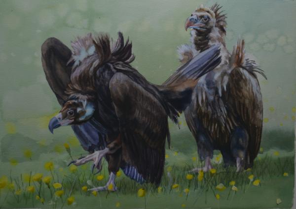  : Watercolor : Dana Van Horn
