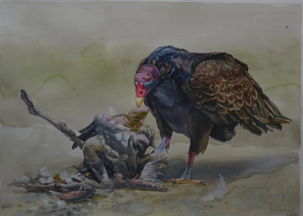  : Watercolor : Dana Van Horn