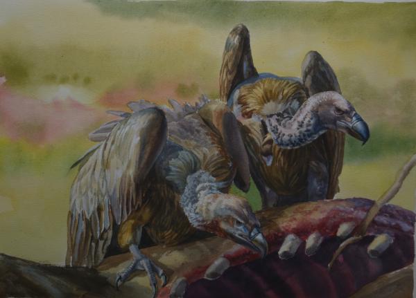  : Watercolor : Dana Van Horn