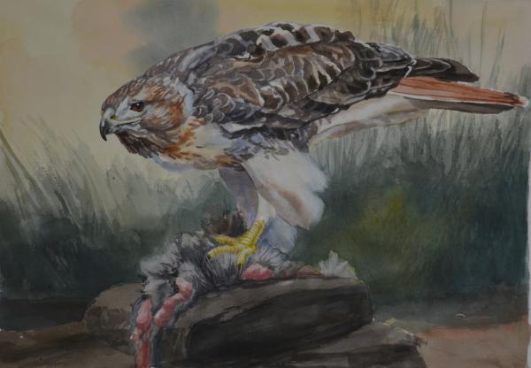  : Watercolor : Dana Van Horn