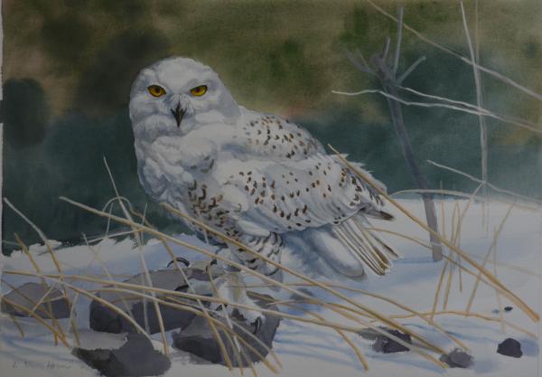  : Watercolor : Dana Van Horn