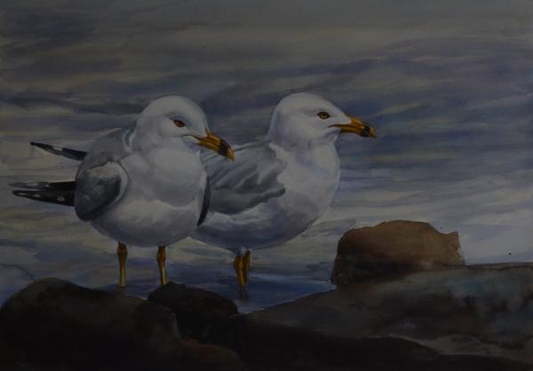  : Watercolor : Dana Van Horn