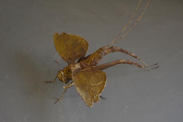  : Sculpture : Dana Van Horn