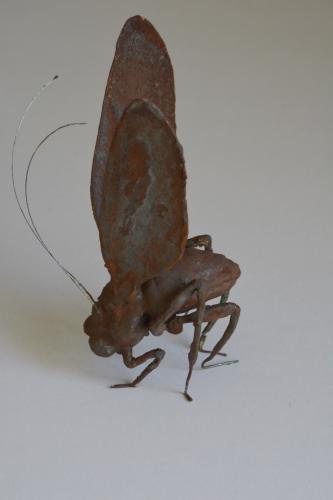  : Sculpture : Dana Van Horn