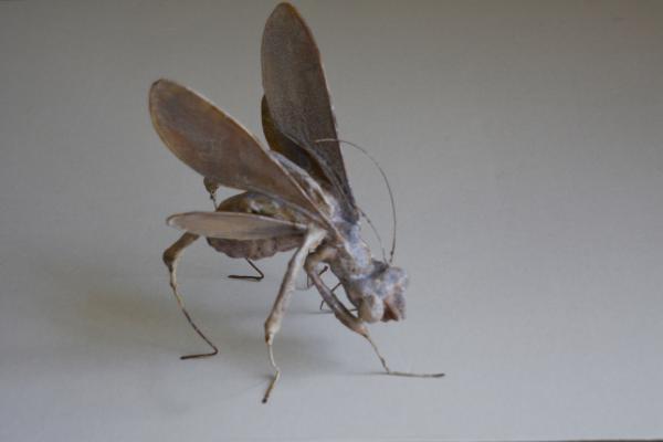  : Sculpture : Dana Van Horn