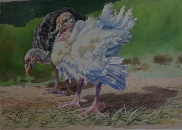  : Watercolor : Dana Van Horn