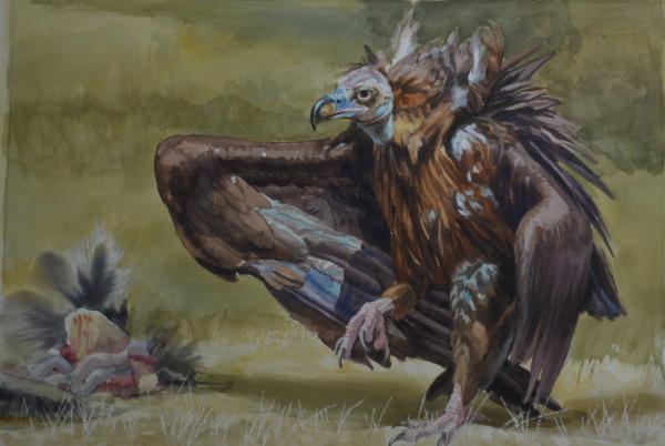  : Watercolor : Dana Van Horn