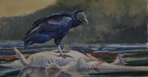  : Watercolor : Dana Van Horn
